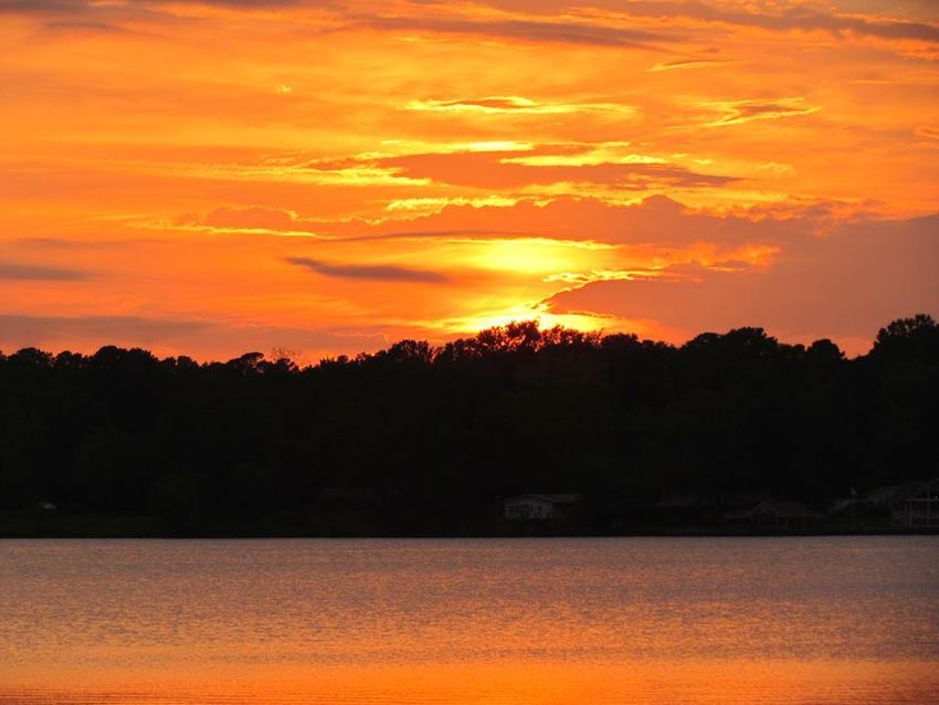 Scenic View Motel   Rv Park Lone Star Tx 0