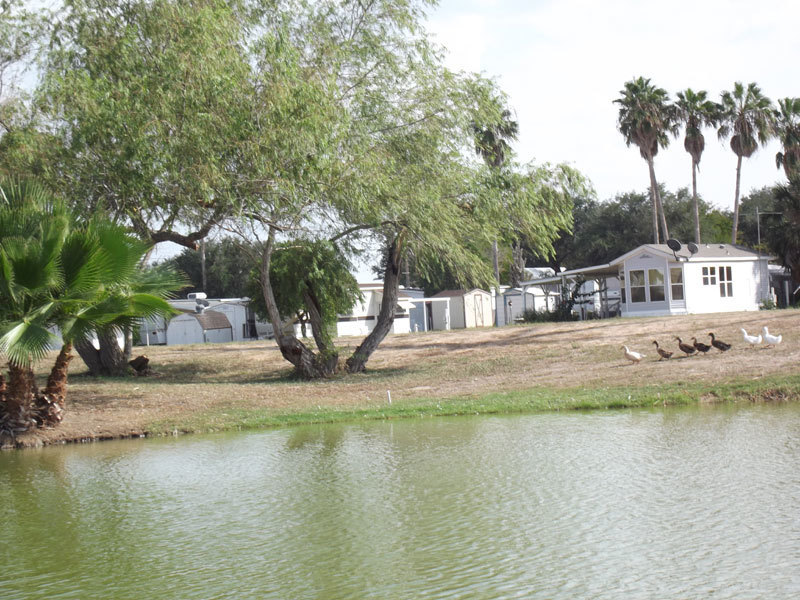 Lazy Palms Ranch Edinburg Tx 1