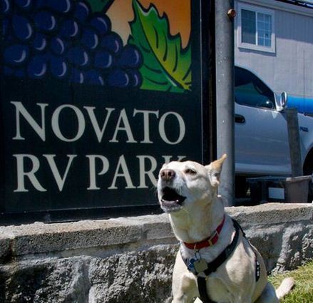 Novato Rv Park Novato Ca 0