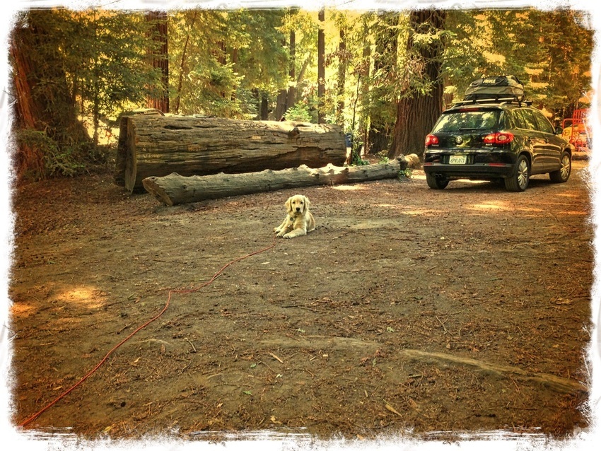 Big Sur Campground   Cabins Big Sur Ca 1