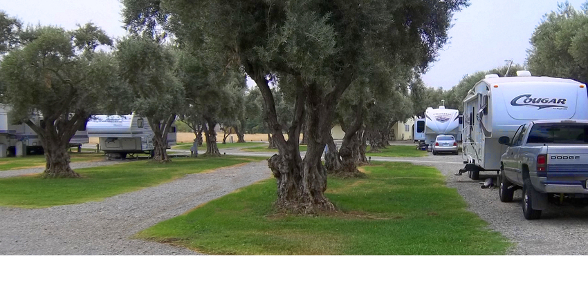 Corning Rv Park Corning Ca 1