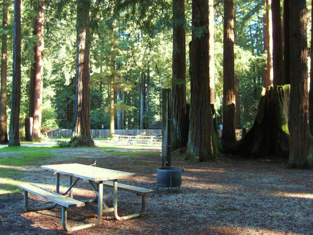 Smithwoods Rv Park Felton Ca 4