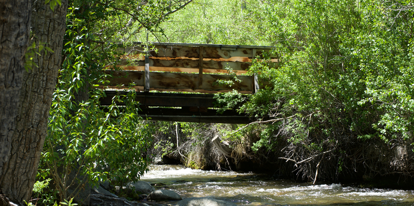 Mcgee Creek Rv Park   Campground Mammoth Lakes Ca 2
