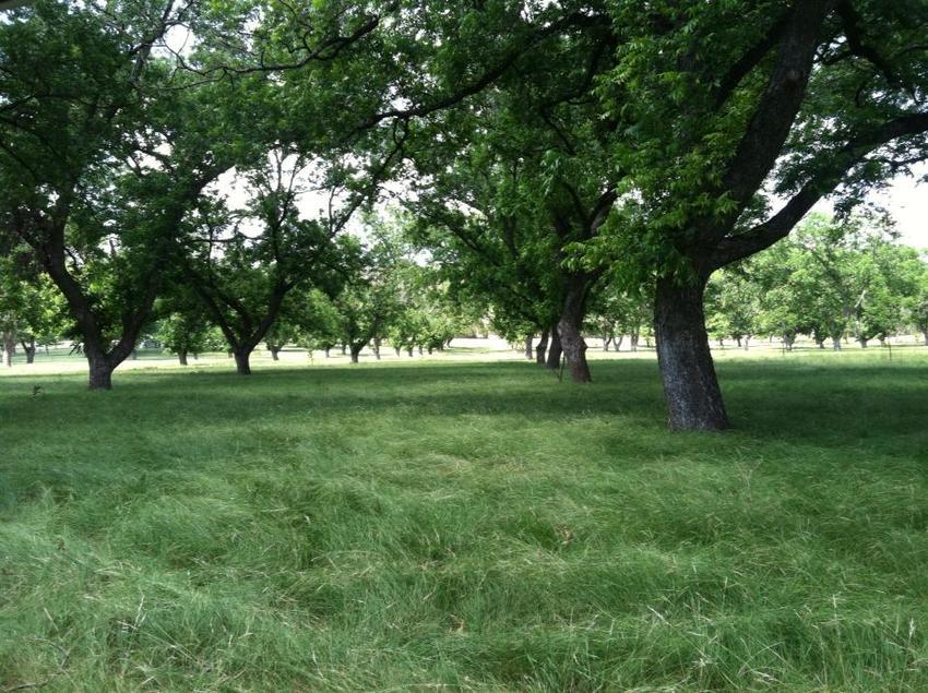 Johnson Creek Rv Resort   Park Kerrville Tx 1