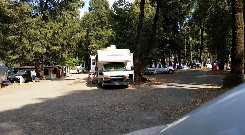 Richardson Grove Campground   Rv Park Garberville Ca 1