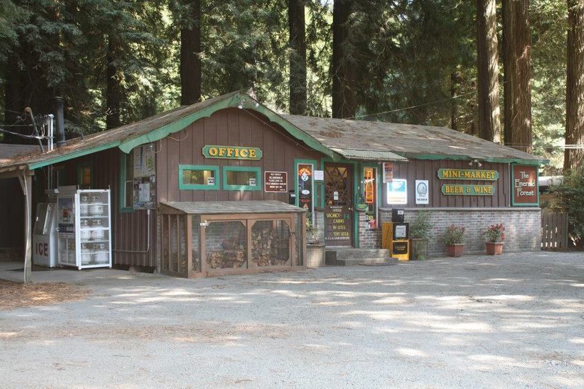 The Emerald Forest Of Trinidad Trinidad Ca 1