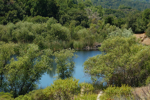 Mount Madonna County Park Watsonville Ca 0