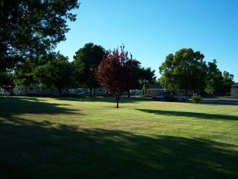 Red Bluff Rv Park Red Bluff Ca 0