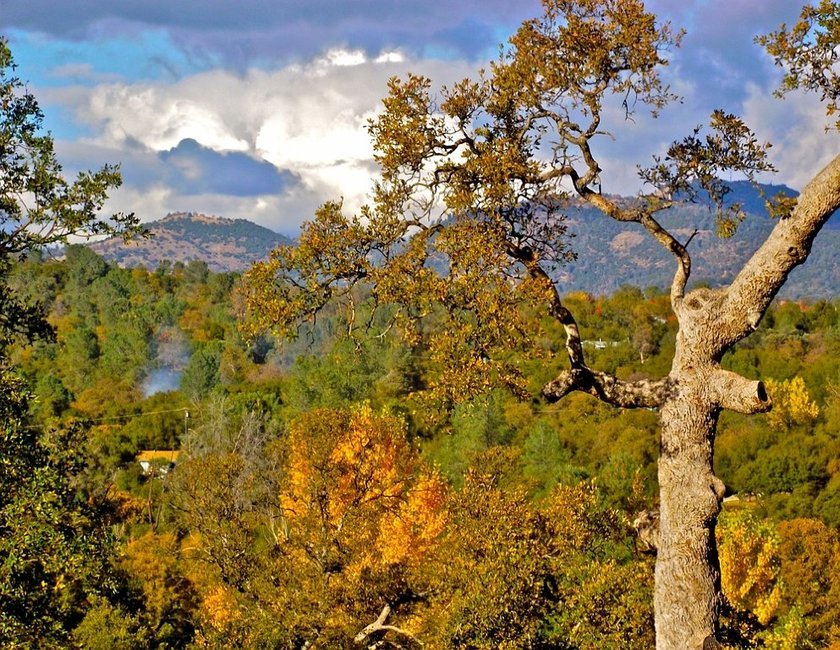 Park Of The Sierras Coarsegold Ca 0