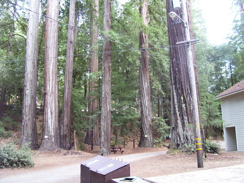 Redwoods River Resort Leggett Ca 2