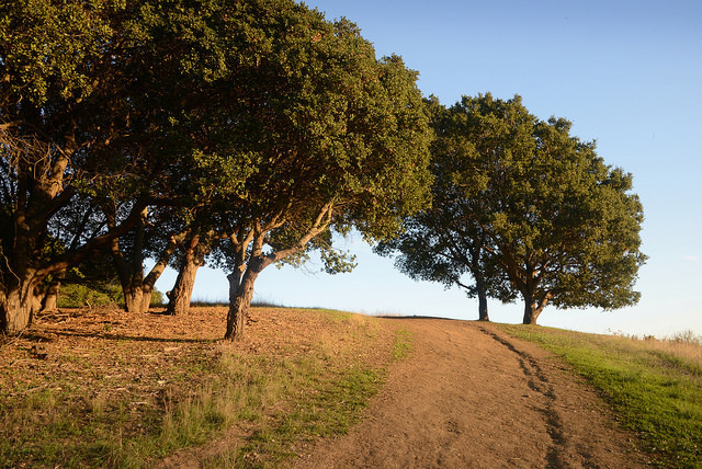 Anthony Chabot Regional Park Castro Valley Ca 0