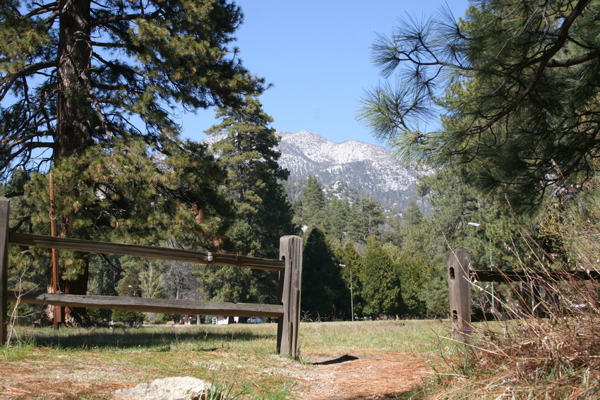 Idyllwild County Park Idyllwild Ca 0