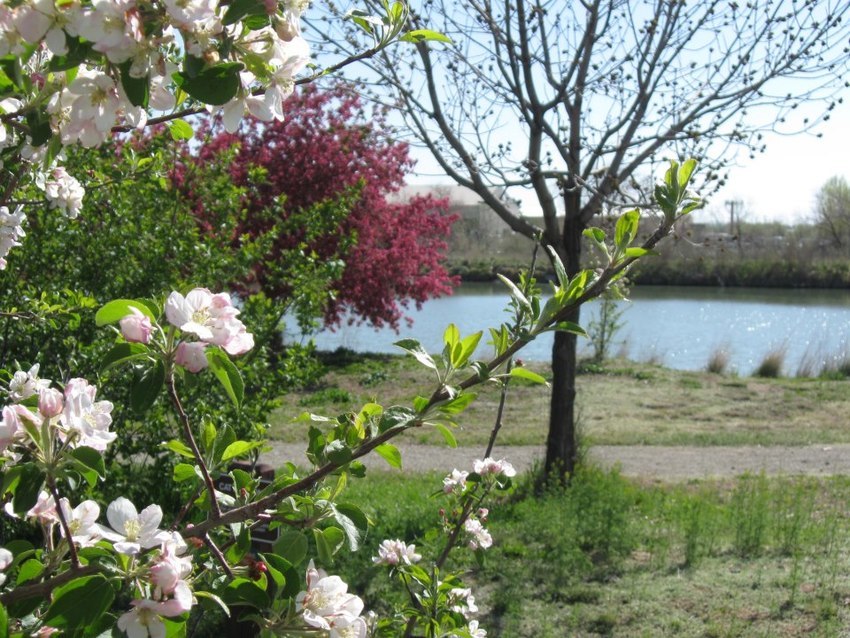 Boulder County Fairgrounds Longmont Co 0