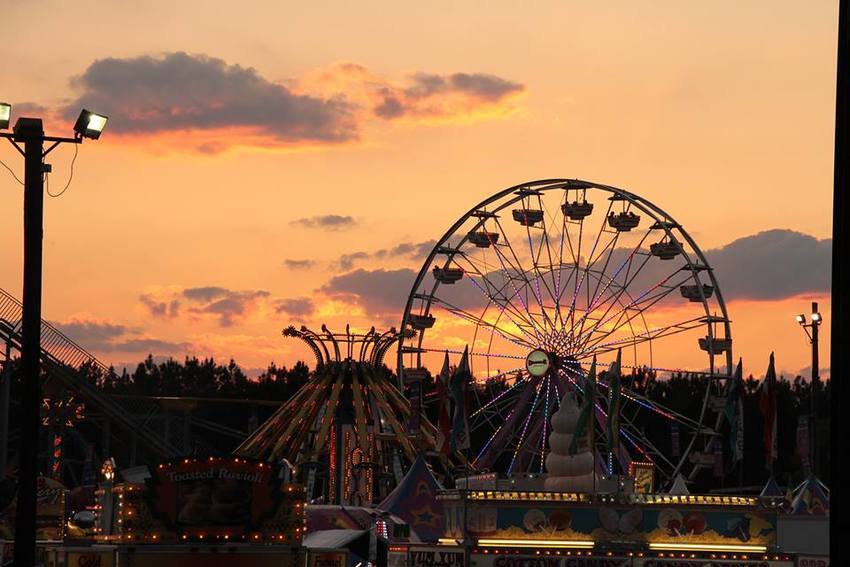 Clay County Fair Green Cove Spring Fl 0