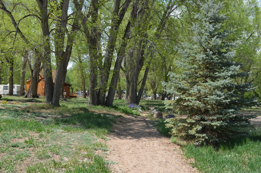 Riverview Rv Park   Campground Loveland Co 0