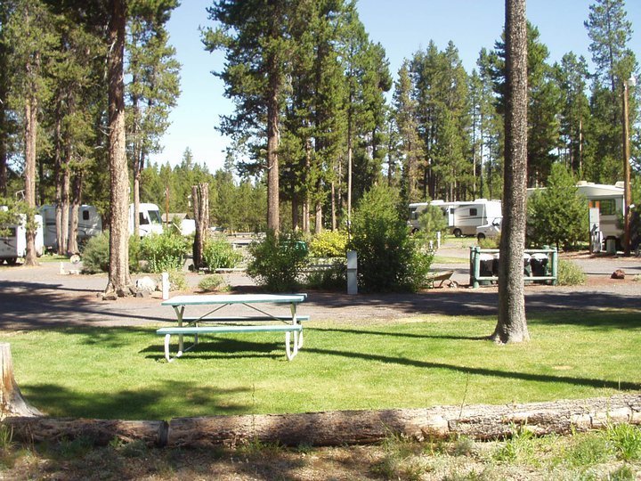 Big Pines Rv Park Crescent Or 5