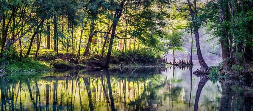 Ginnie Springs Outdoors High Springs Fl 1