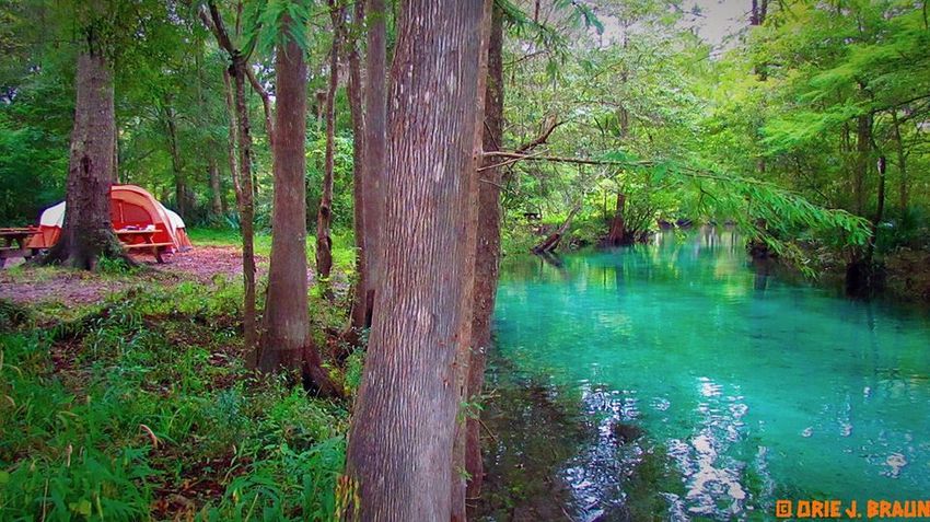 Ginnie Springs Outdoors High Springs Fl 2