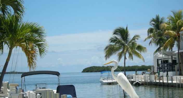 Venture Out Resort Cudjoe Key Fl 1