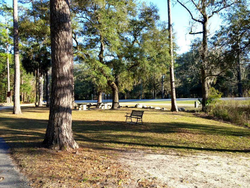 Newport Campground Crawfordville Fl 0