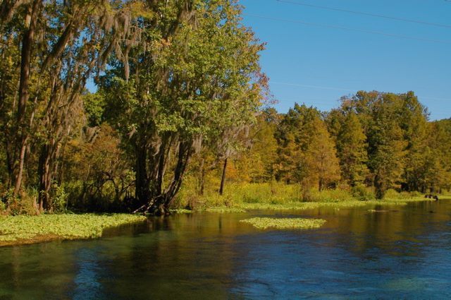 Ichetucknee Family Campground Fort White Fl 0