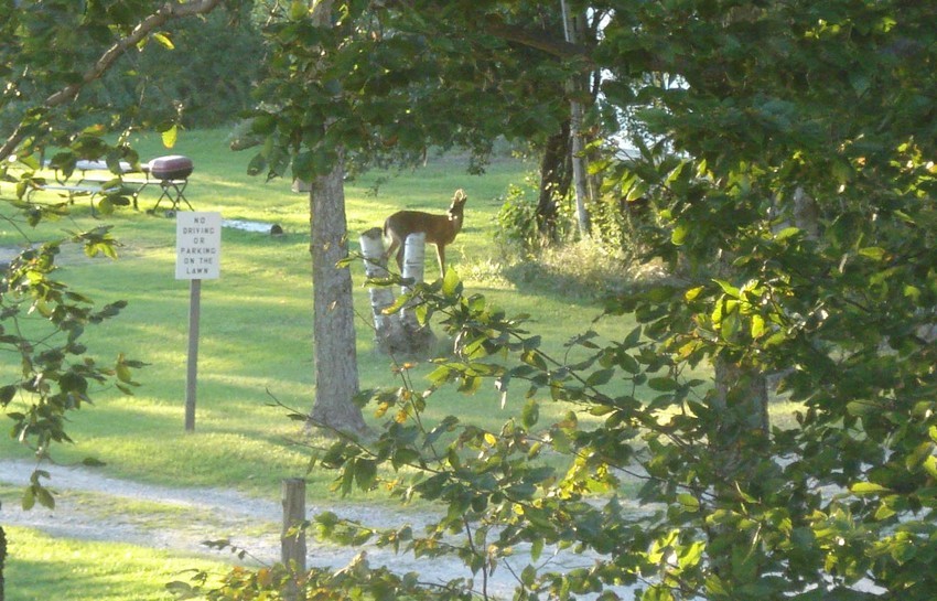 Moosehead Lodging Detour Mi 1