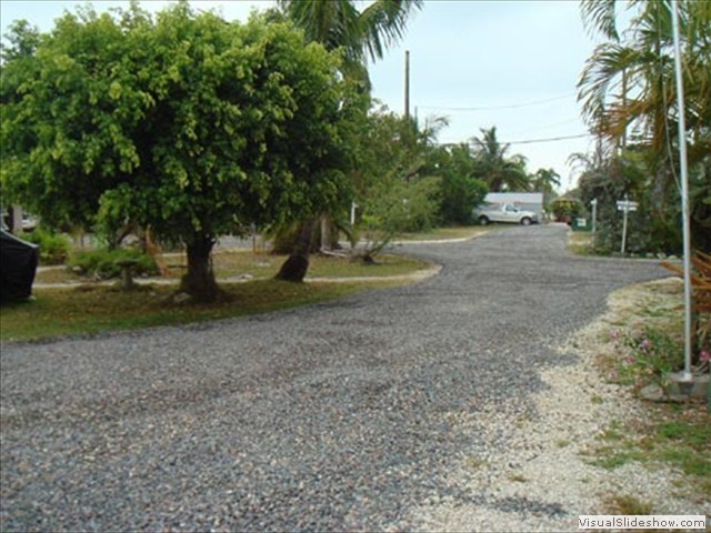 Breezy Pines Rv Park Big Pine Key Fl 0