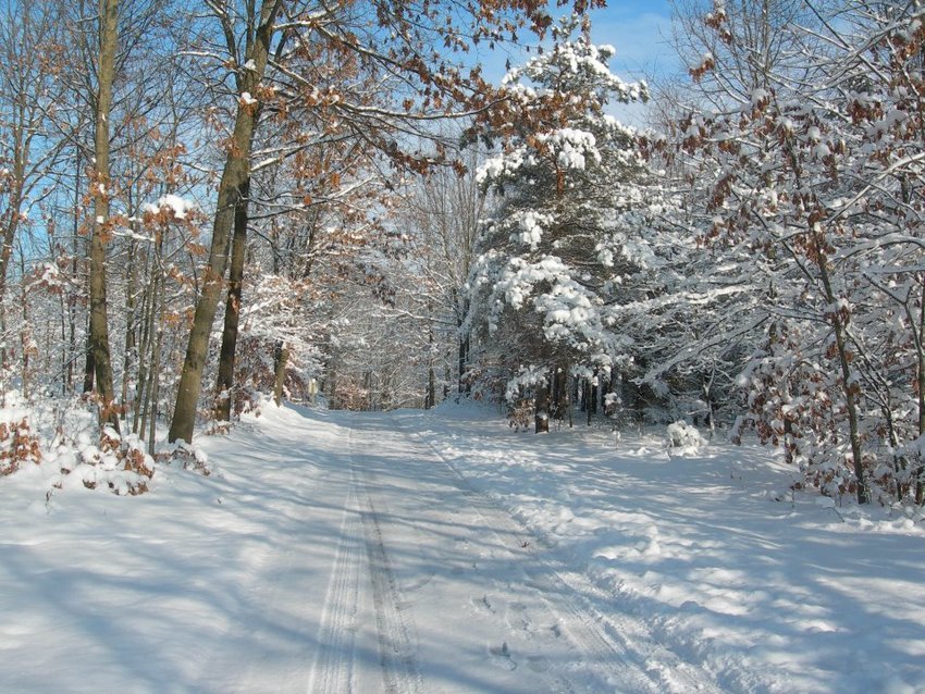 Hungry Horse Campground Dorr Mi 1