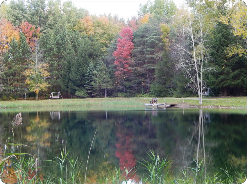 Berwagana Campground Vassar Mi 6