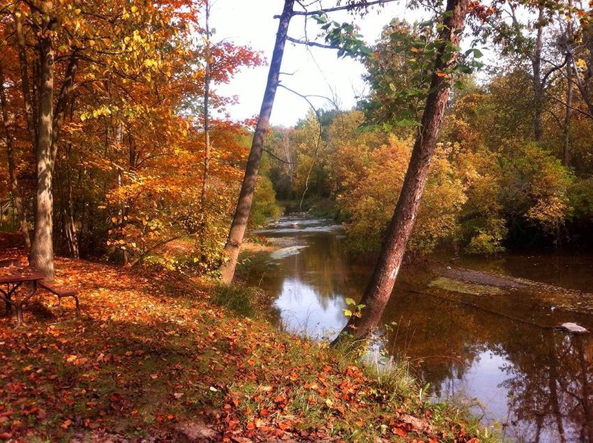 Ruby Campground Avoca Mi 0