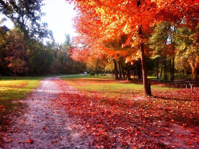 Ruby Campground Avoca Mi 1