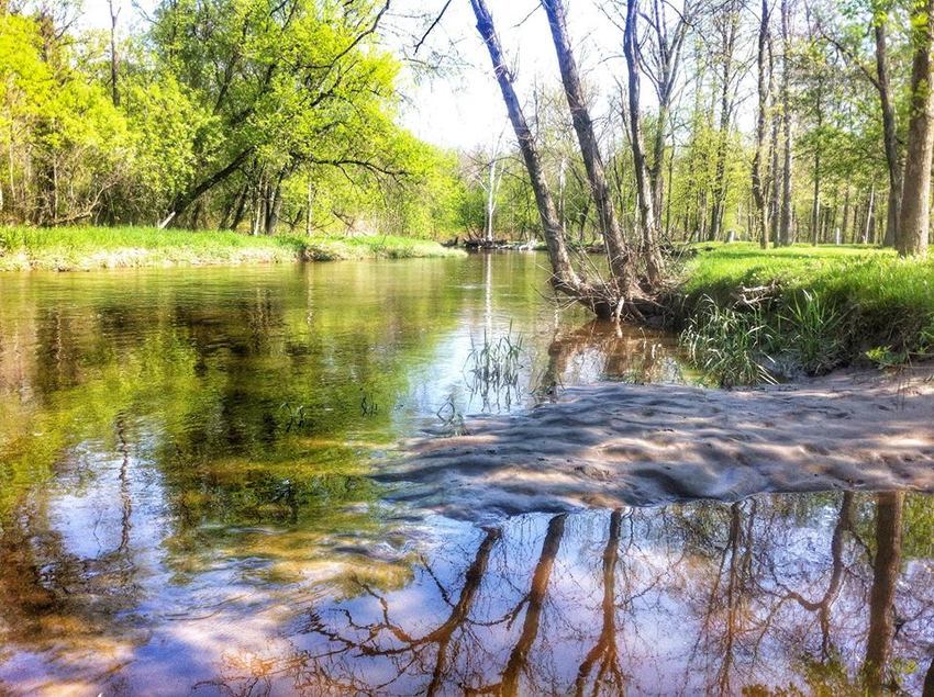 Ruby Campground Avoca Mi 2