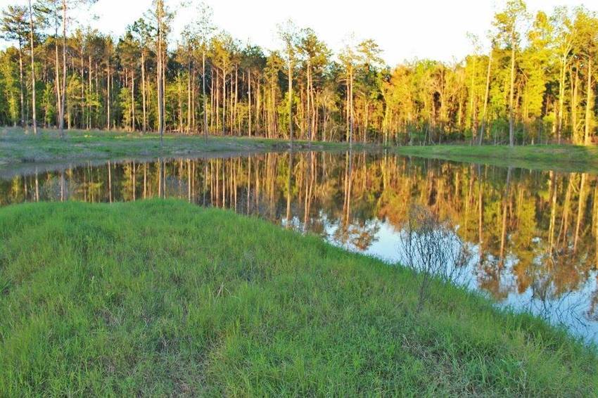 Lonesome Dove Rv Ranch Del Rio Tx 0