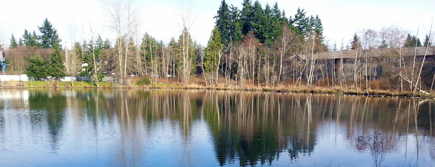 Lakeside Rv Park Everett Wa 3