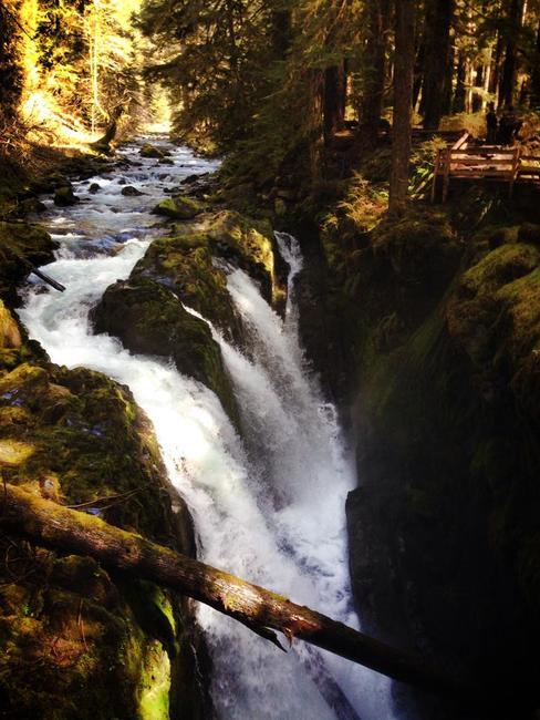 Sol Duc Campground Port Angeles Wa 0