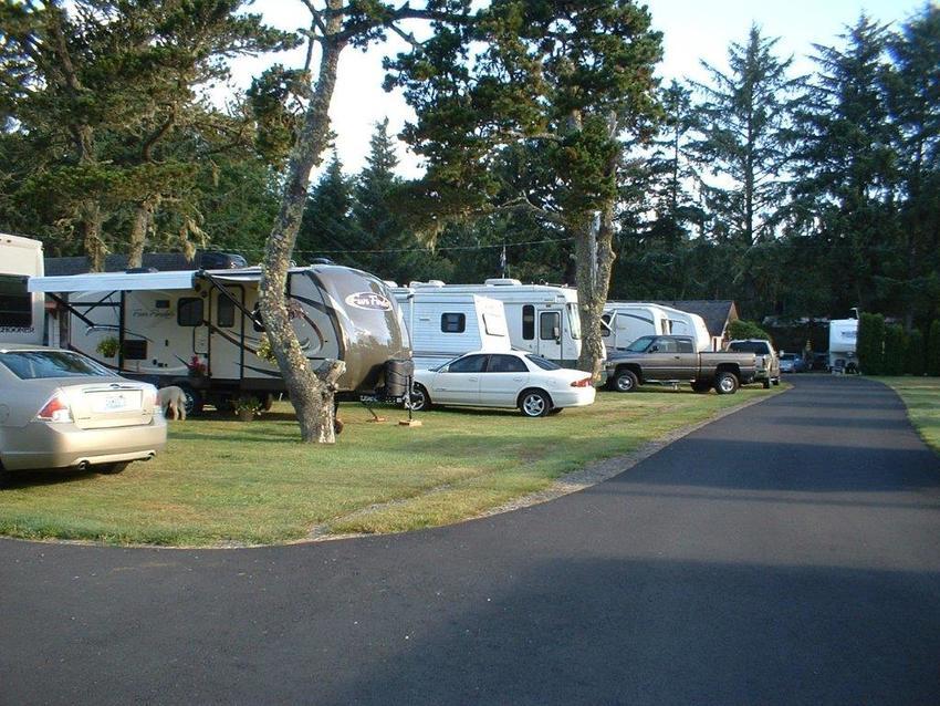 Cranberry Rv Park Long Beach Wa 0