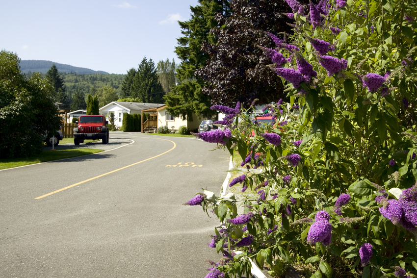 Lake Samish Terrace Bellingham Wa 0