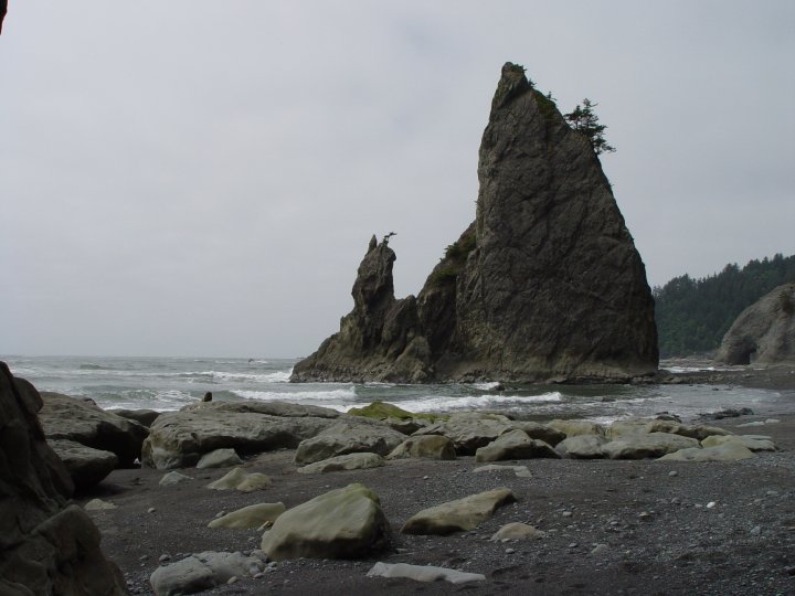 Quileute Oceanside Resort La Push Wa 0