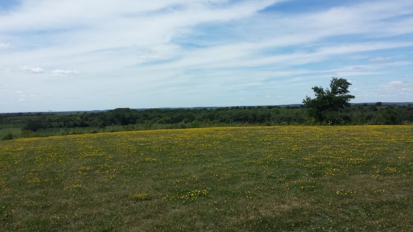 Country View Campground Mukwonago Wi 0