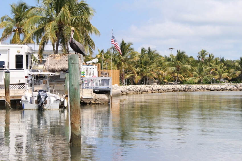 San Pedro Carefree Rv Resort Islamorada Fl 16