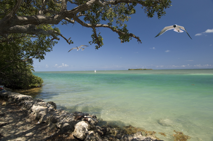 San Pedro Carefree Rv Resort Islamorada Fl 17