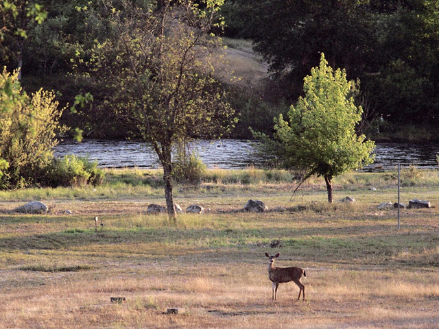 Trinity River Resort And Rv Park Lewiston Ca 0