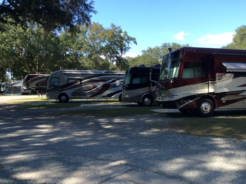 Big Oak Rv Park Tallahassee Fl 4