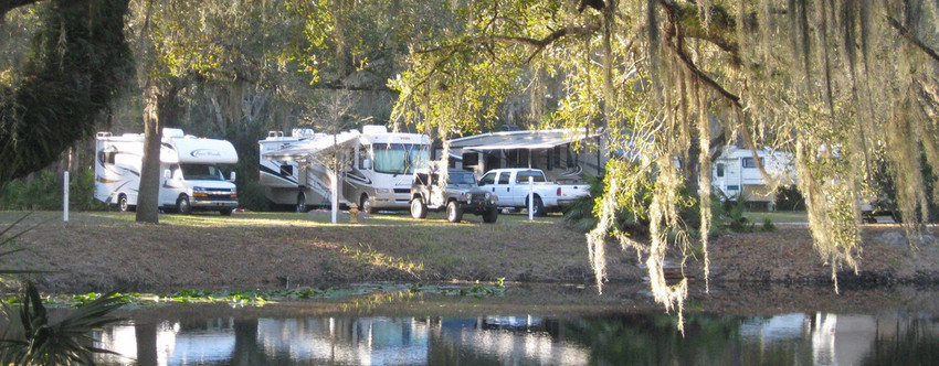 Timberlane Rv Park   Resort Bradenton Fl 0