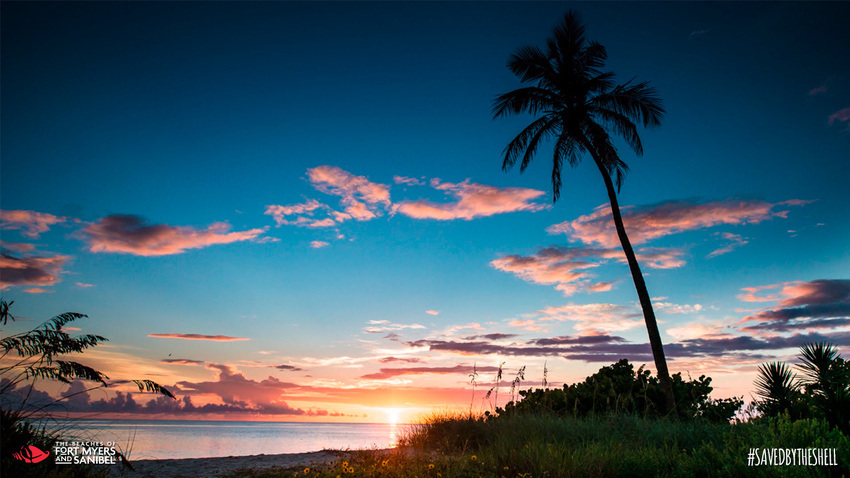 Beaches Of Fort Myers   Sanibel Fort Myers Fl 0