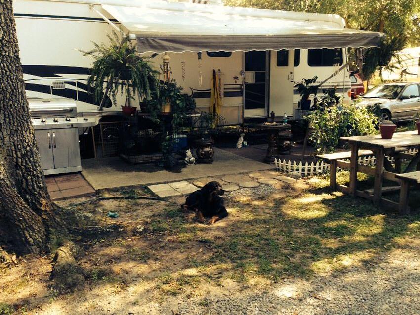 Cedar Pines Rv Campground Milton Fl 1