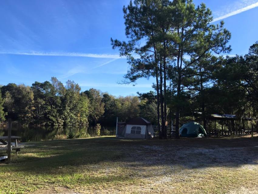 Whispering Pines Campground   Rv Park Morganton Ga 1