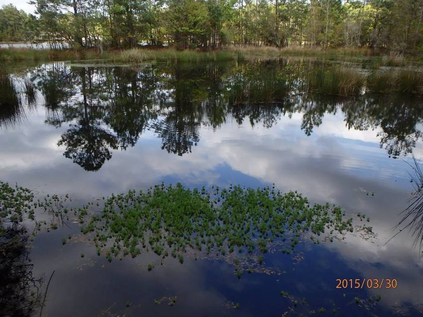 Lake Harmony Rv Park Townsend Ga 2