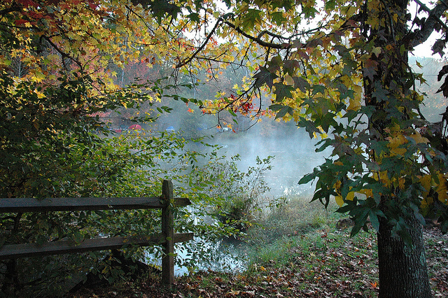 Jenny S Creek Campground Cleveland Ga 0