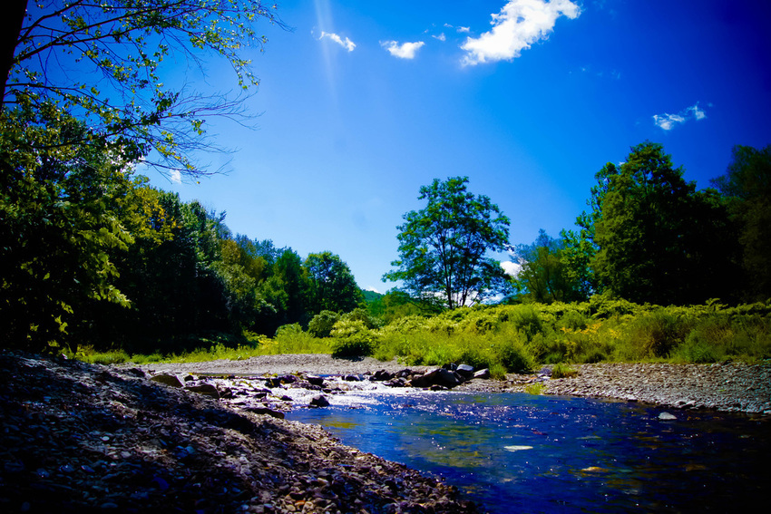 Broken Wheel Campground Petersburgh Ny 0